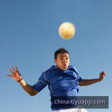 乐鱼体育数据分析与走势图表